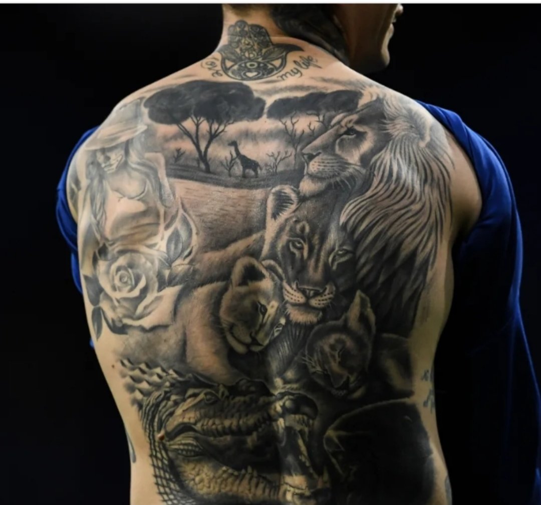 ألو أنا القطة tweet media