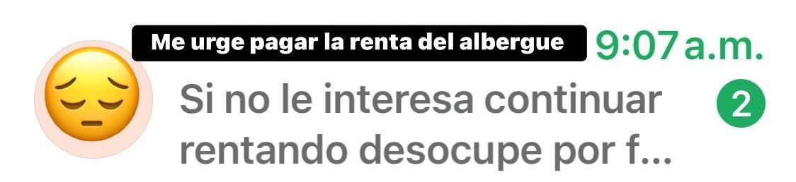 Peludos Desamparados tweet media