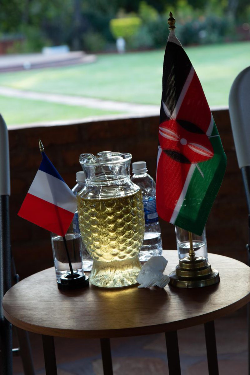 Amb. Gertrude Angote tweet media