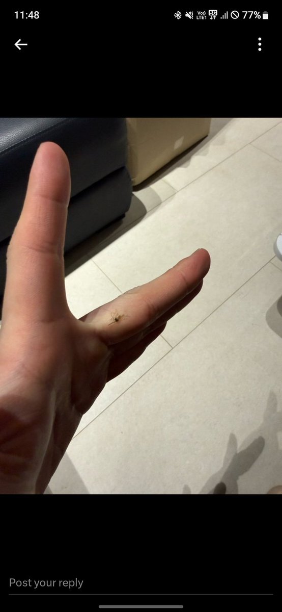 SKZ Crave tweet media