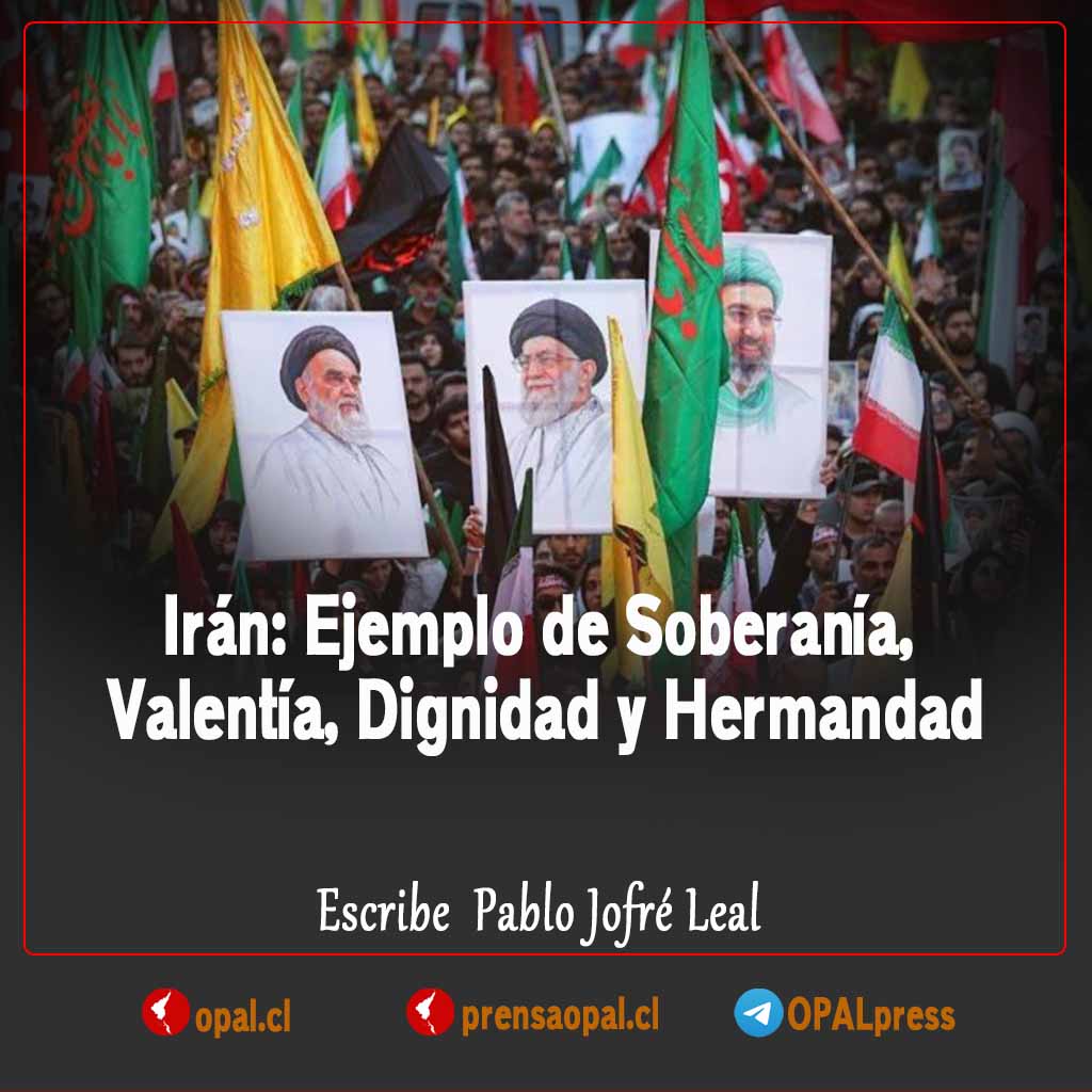 OPAL prensa tweet media