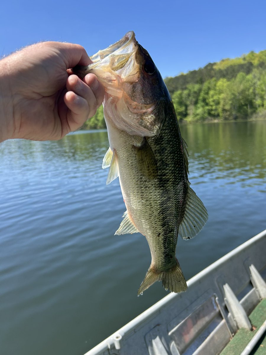 🦌 scott 🎸 tweet media