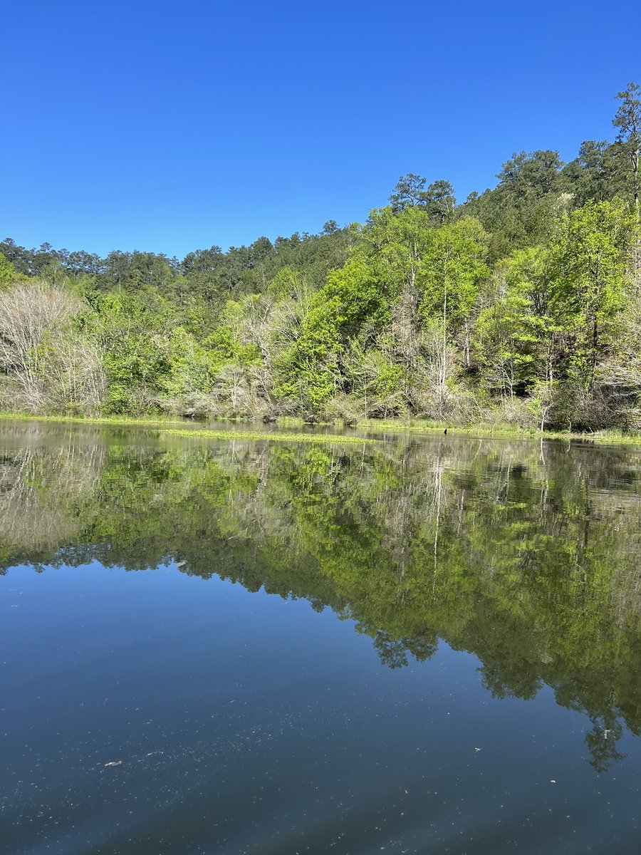 🦌 scott 🎸 tweet media