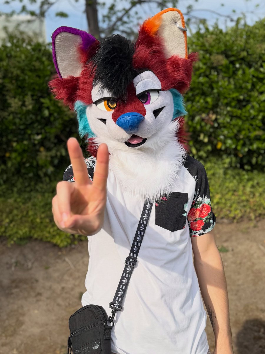 Estin❤️ 🔜 Furlingame 2026 tweet media