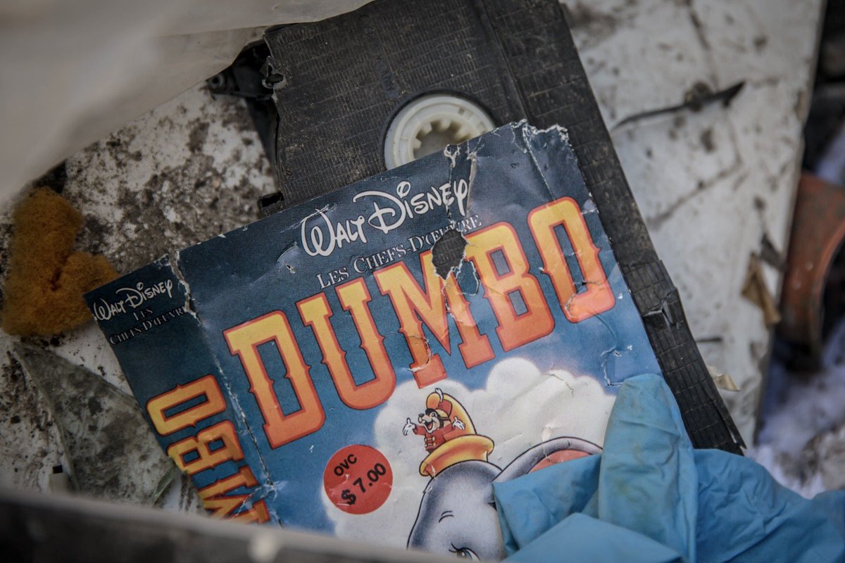 Sally Hayden tweet media