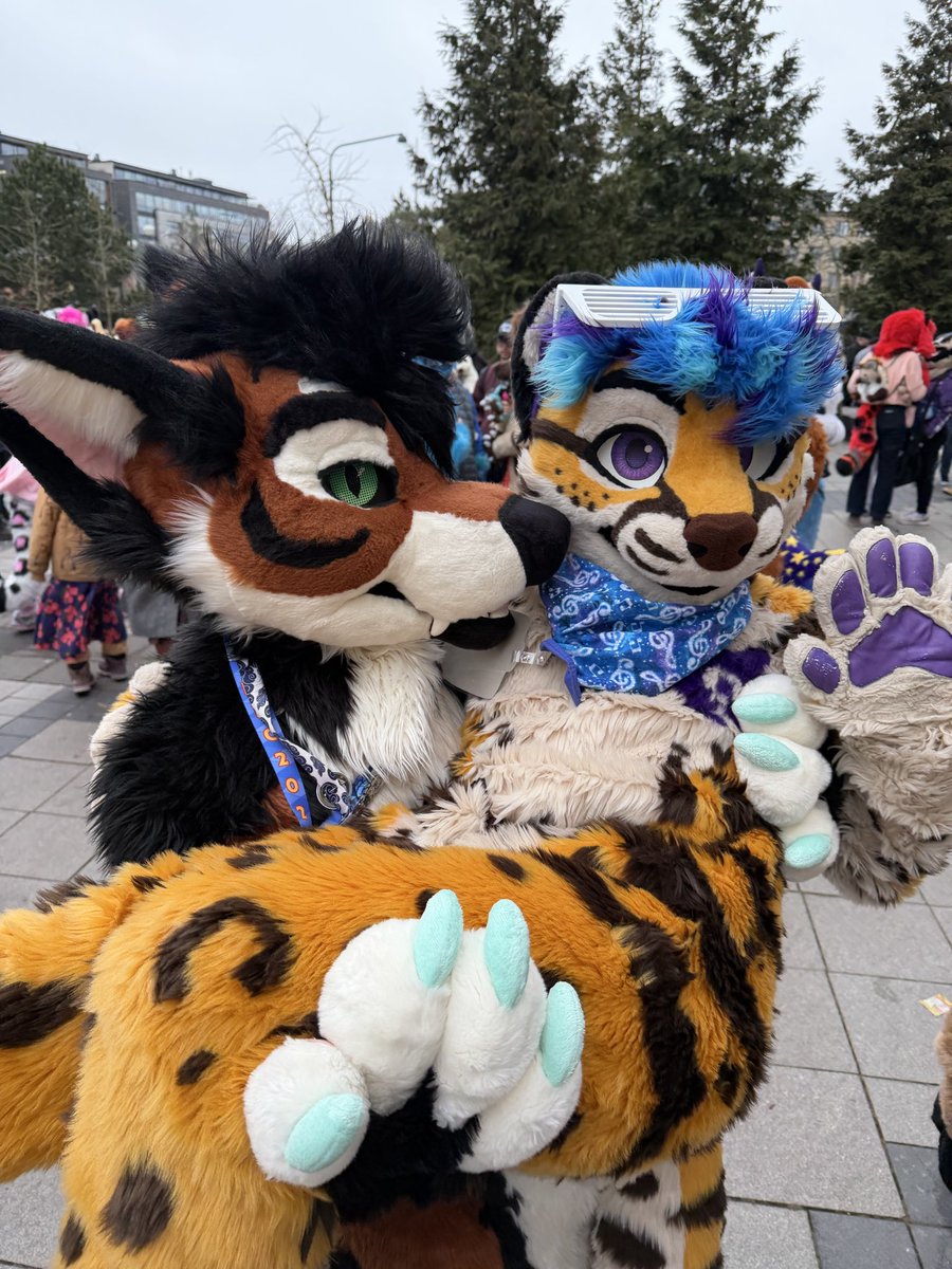 Gonzo @ LVFC tweet media