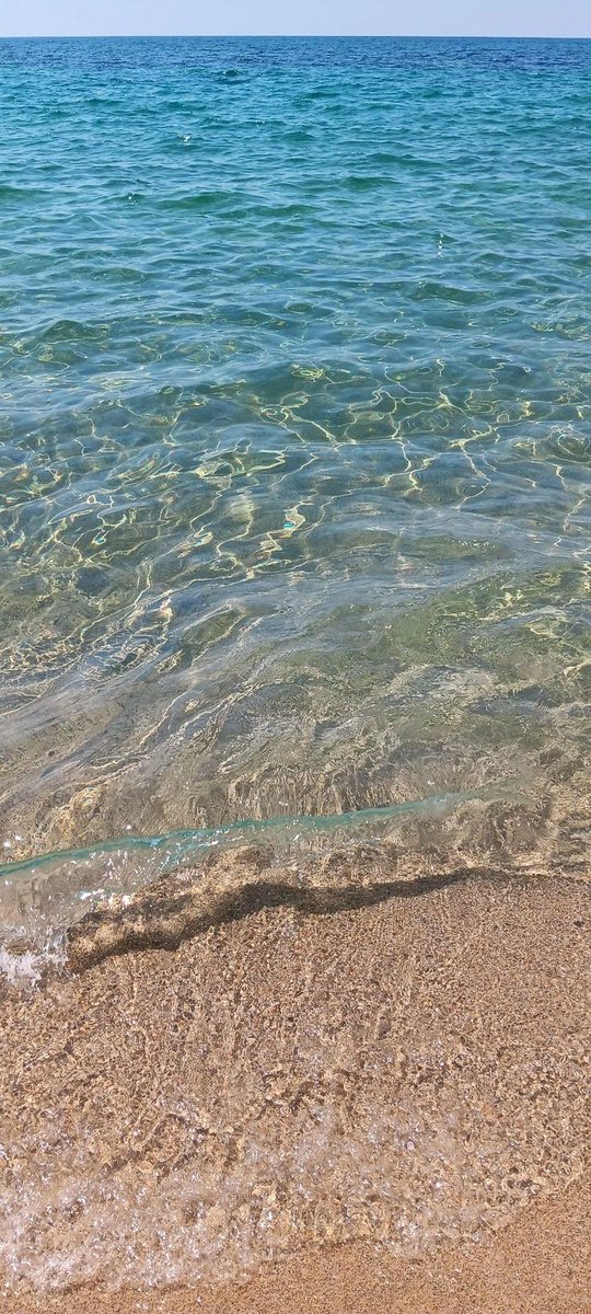 𝓦𝓪𝓵𝓪𝓪🦋 tweet media