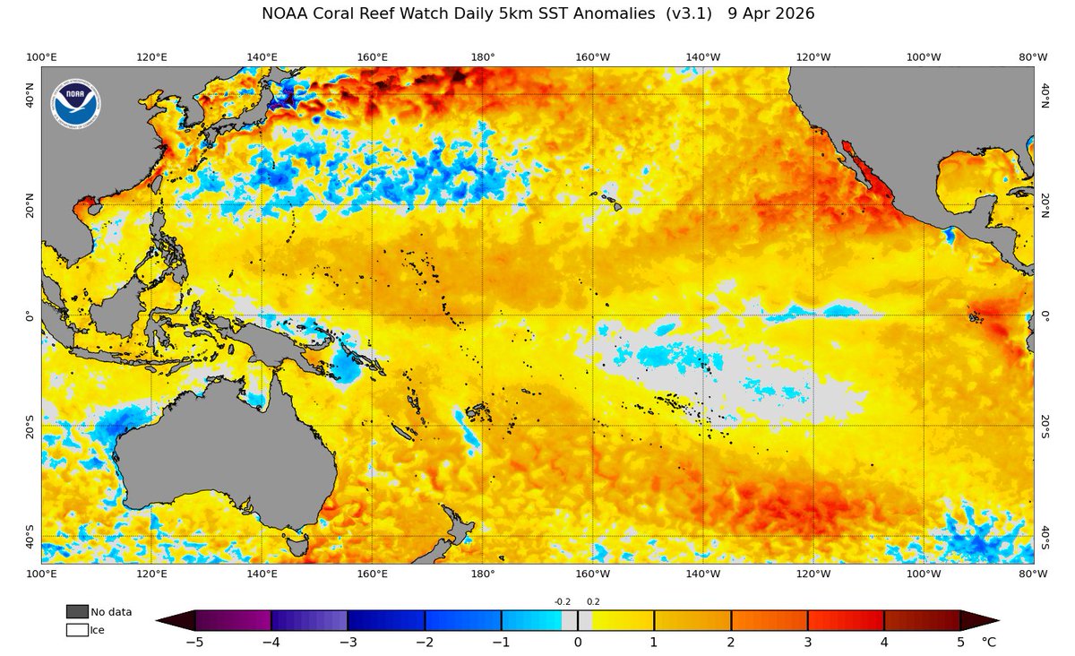 David Birch tweet media