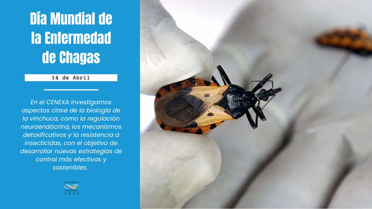 CenexaUnlp's tweet photo. 🗓️ 14 de abril | Día Mundial de la Enfermedad de Chagas
🧬 Visibilizar el #Chagas es un paso fundamental para combatir una enfermedad históricamente silenciada, que aún hoy afecta a millones de personas en todo el mundo.
#CENEXA #SaludPública #CienciaArgentina #Investigación https://t.co/4wgsLPEGcT