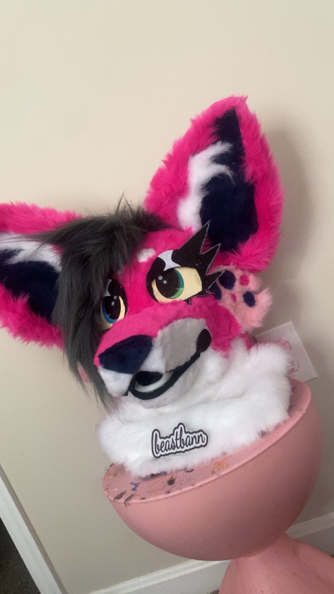 beast 🔜 anthrohio tweet media