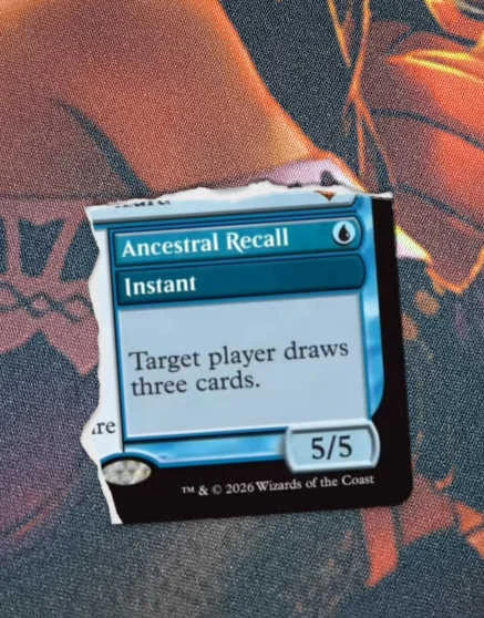 Anna 🦊🏳️‍🌈 ✈️ MC Amsterdam tweet media