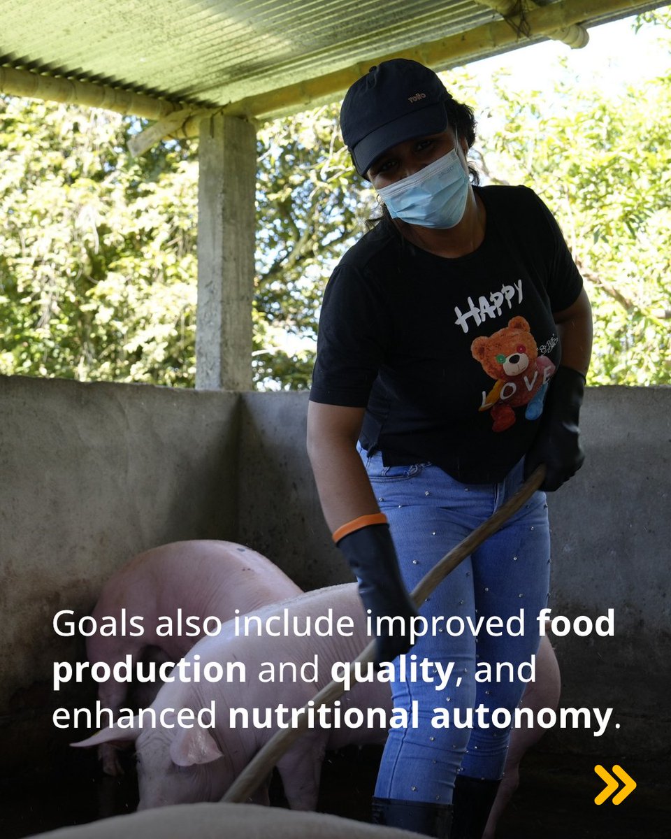 ShareTheMeal - UN World Food Programme tweet media