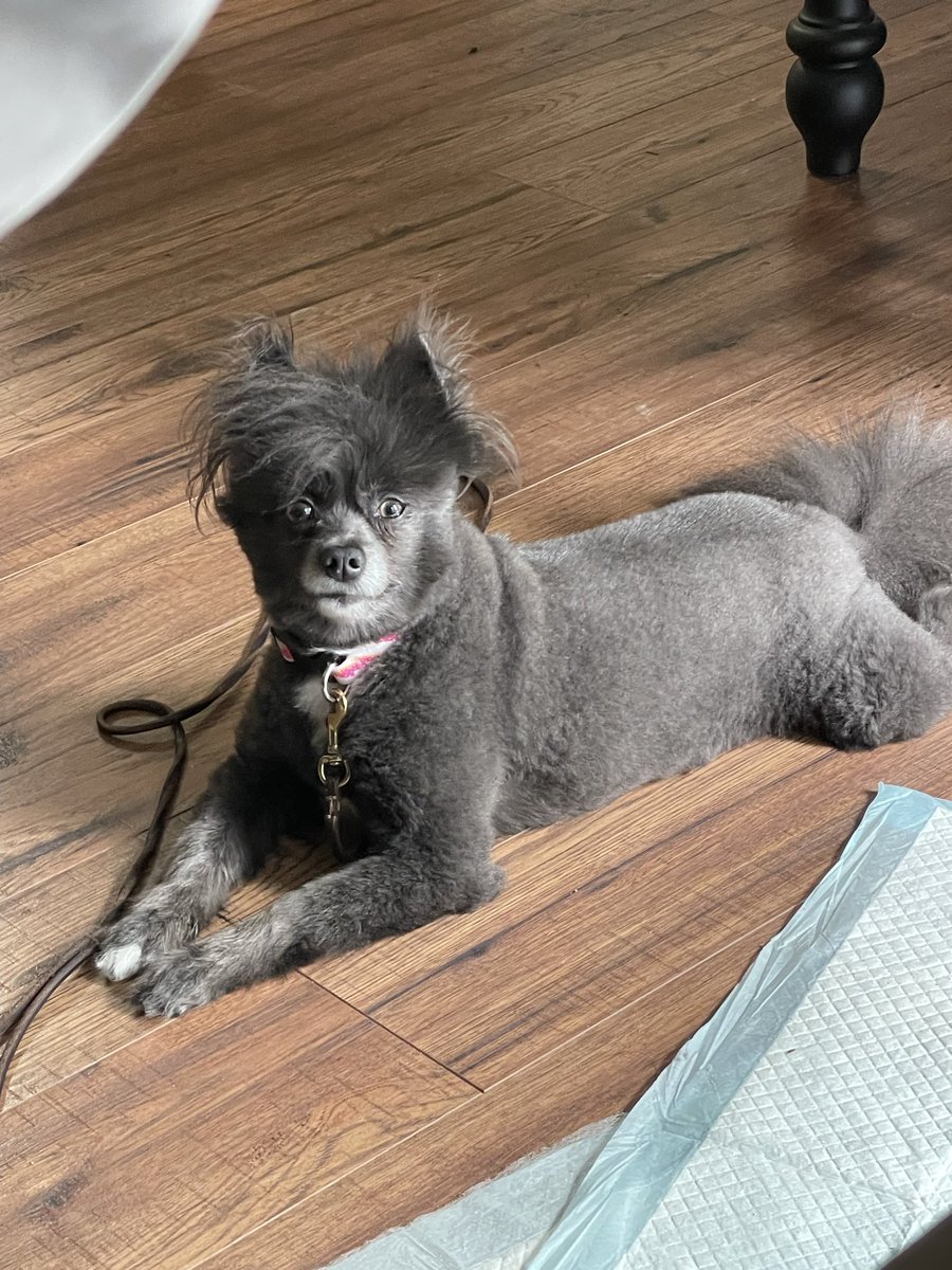 Jack Wolf tweet media