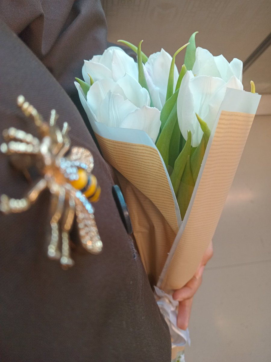 🍉FATMA TAPAR tweet media