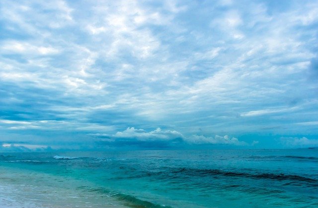 Cathy Thompson tweet media