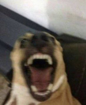 Mir Arthur tweet media