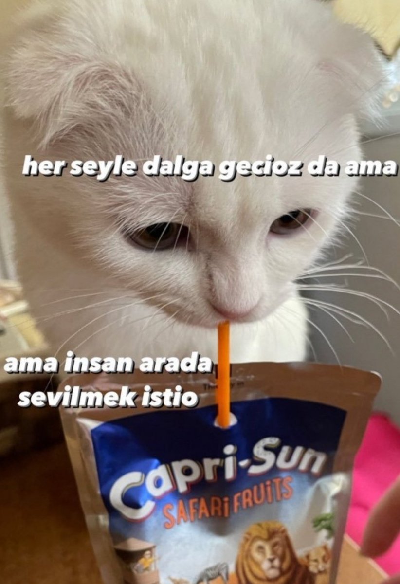 𝒜𝓇𝓏𝓊 ☀️🌙 tweet media