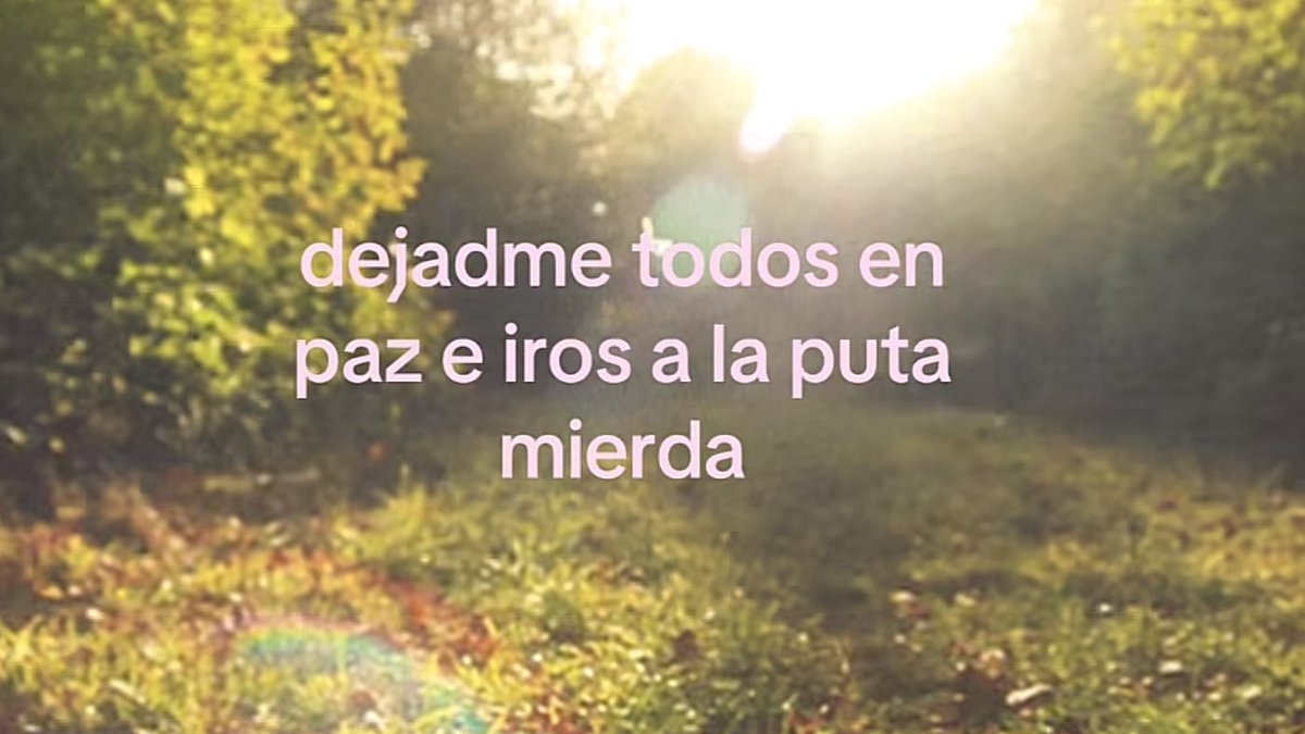 piña sin pizza tweet media