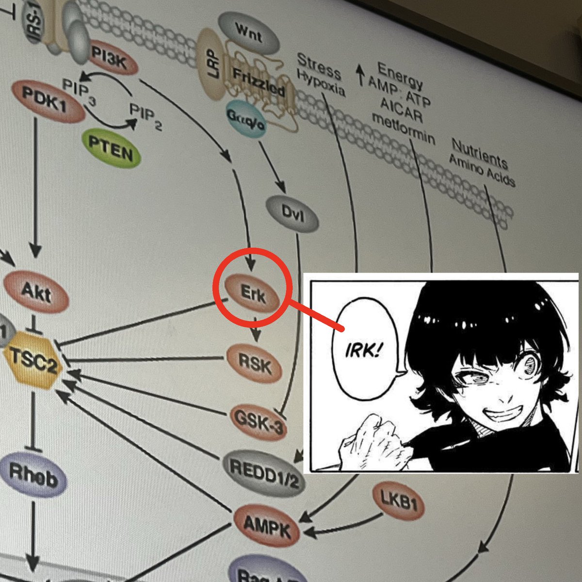 lucky 🐝🐝 tweet media