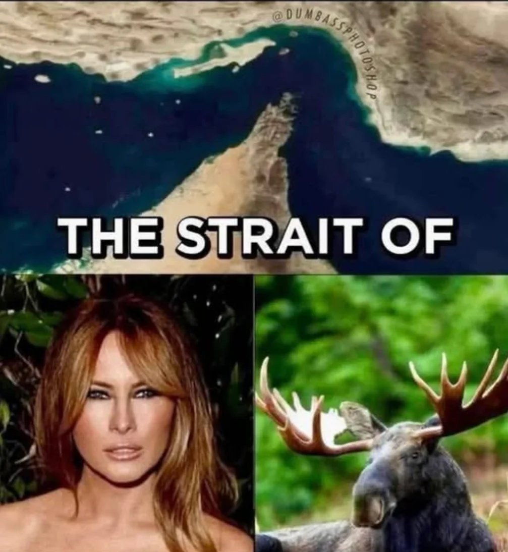 Anonymous tweet media