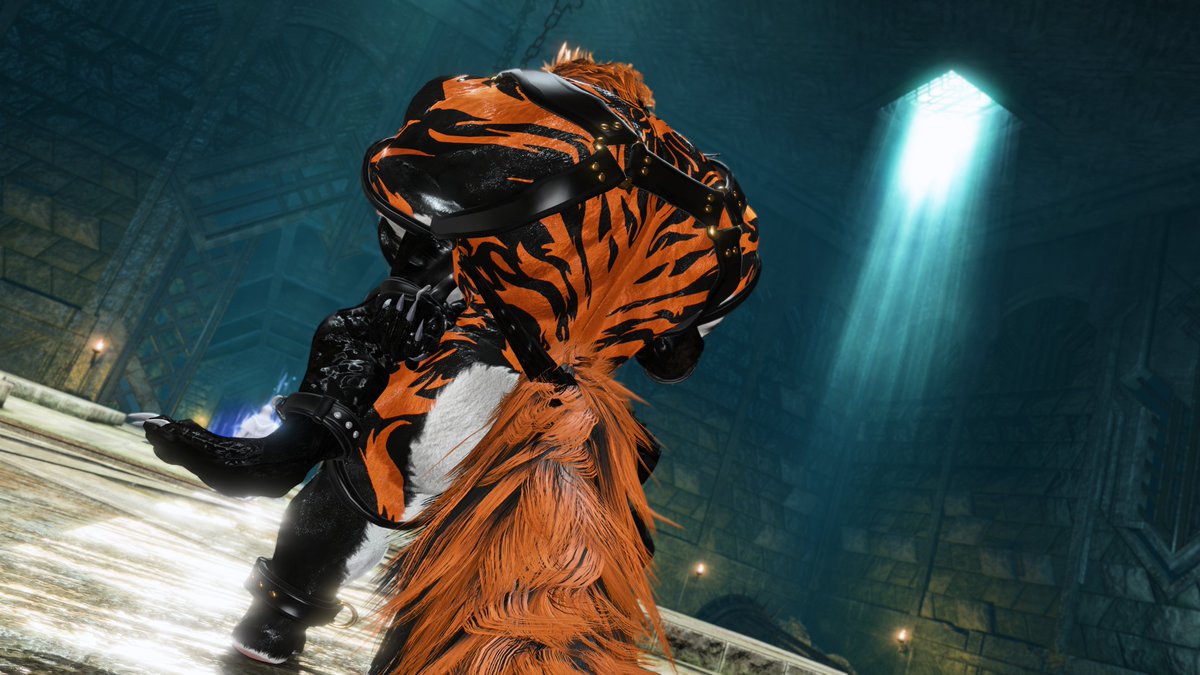 Aetheryx tweet media