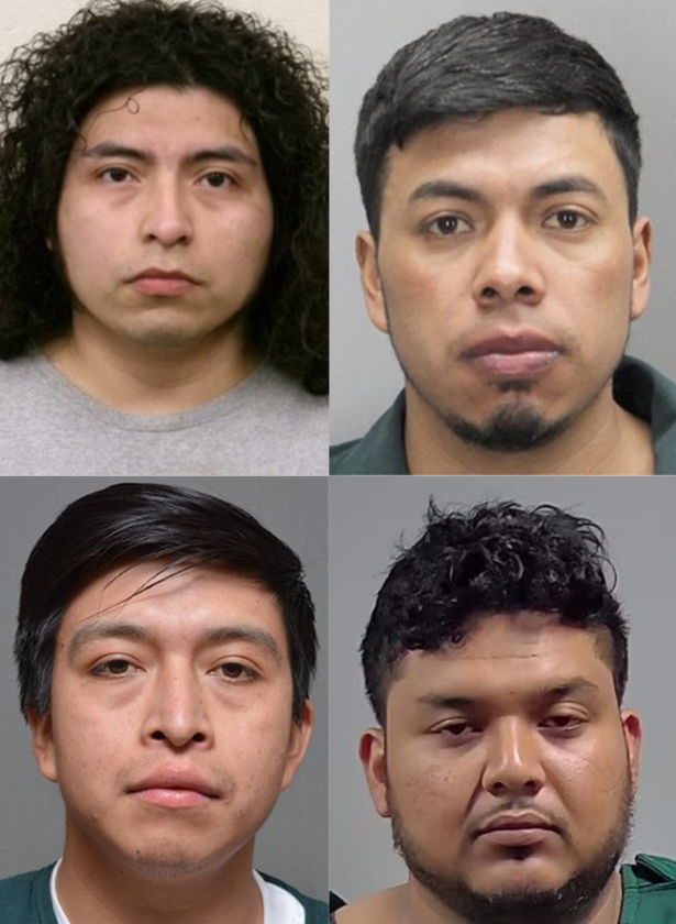 Libs of TikTok tweet media