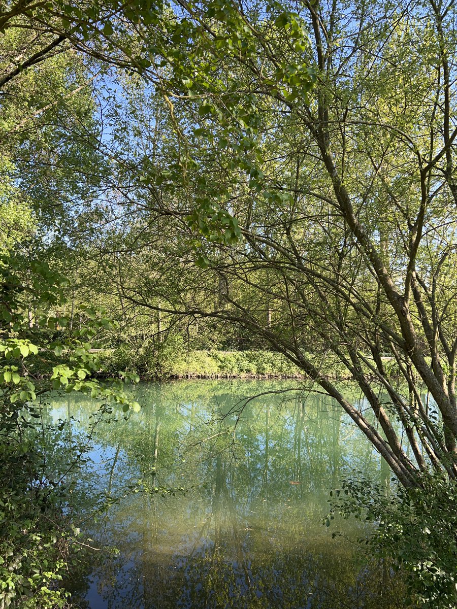 Chloé Sanchez tweet media