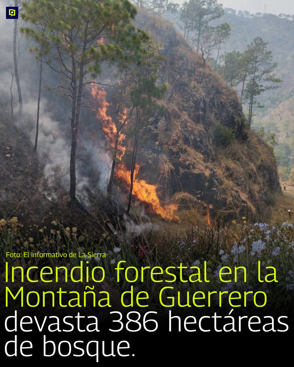 contrapunto.mx tweet media