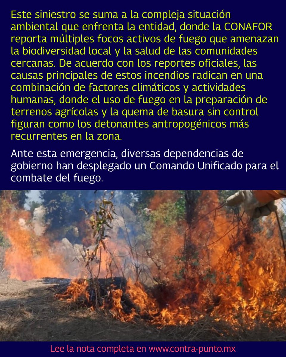 contrapunto.mx tweet media