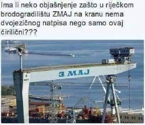 Salko Bijedić tweet media