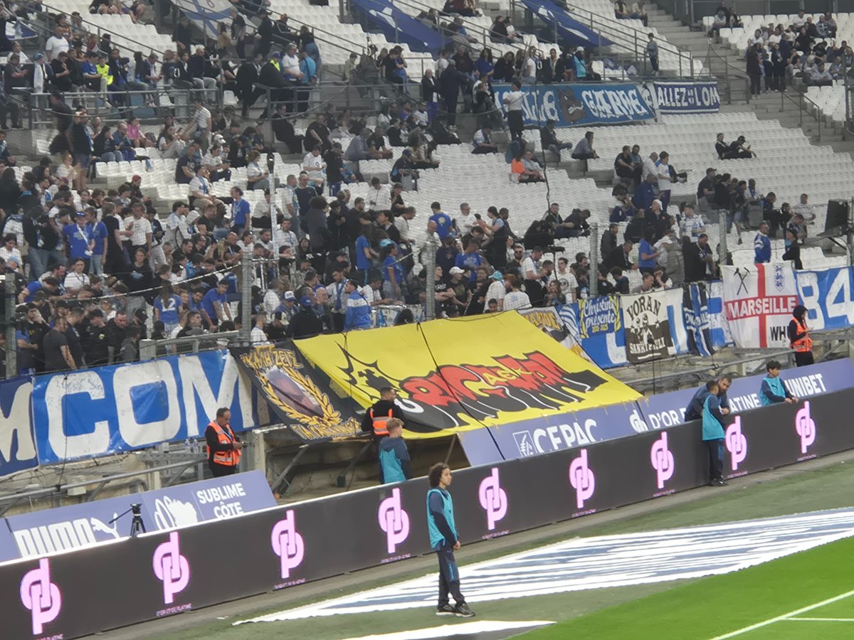 Massilia tweet media