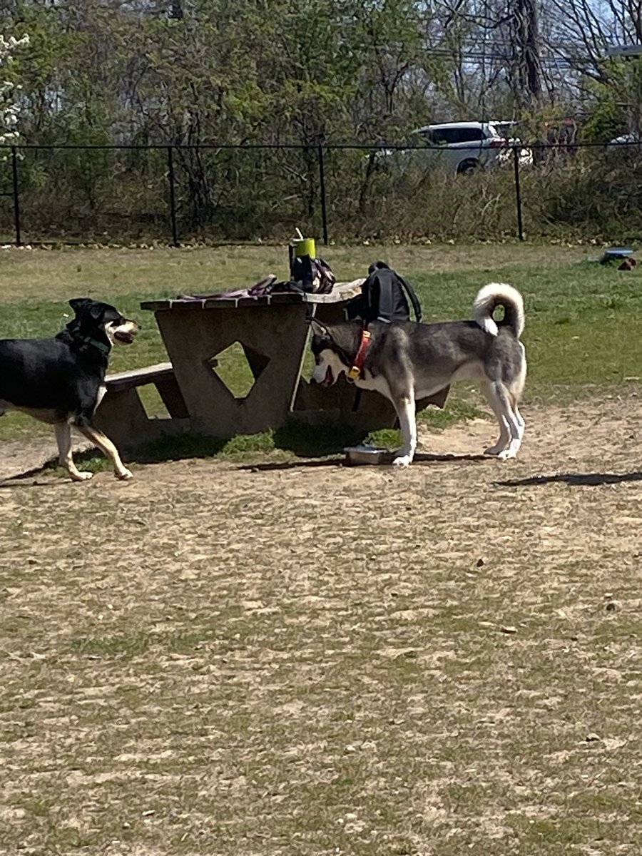 Only in Bucks County tweet media