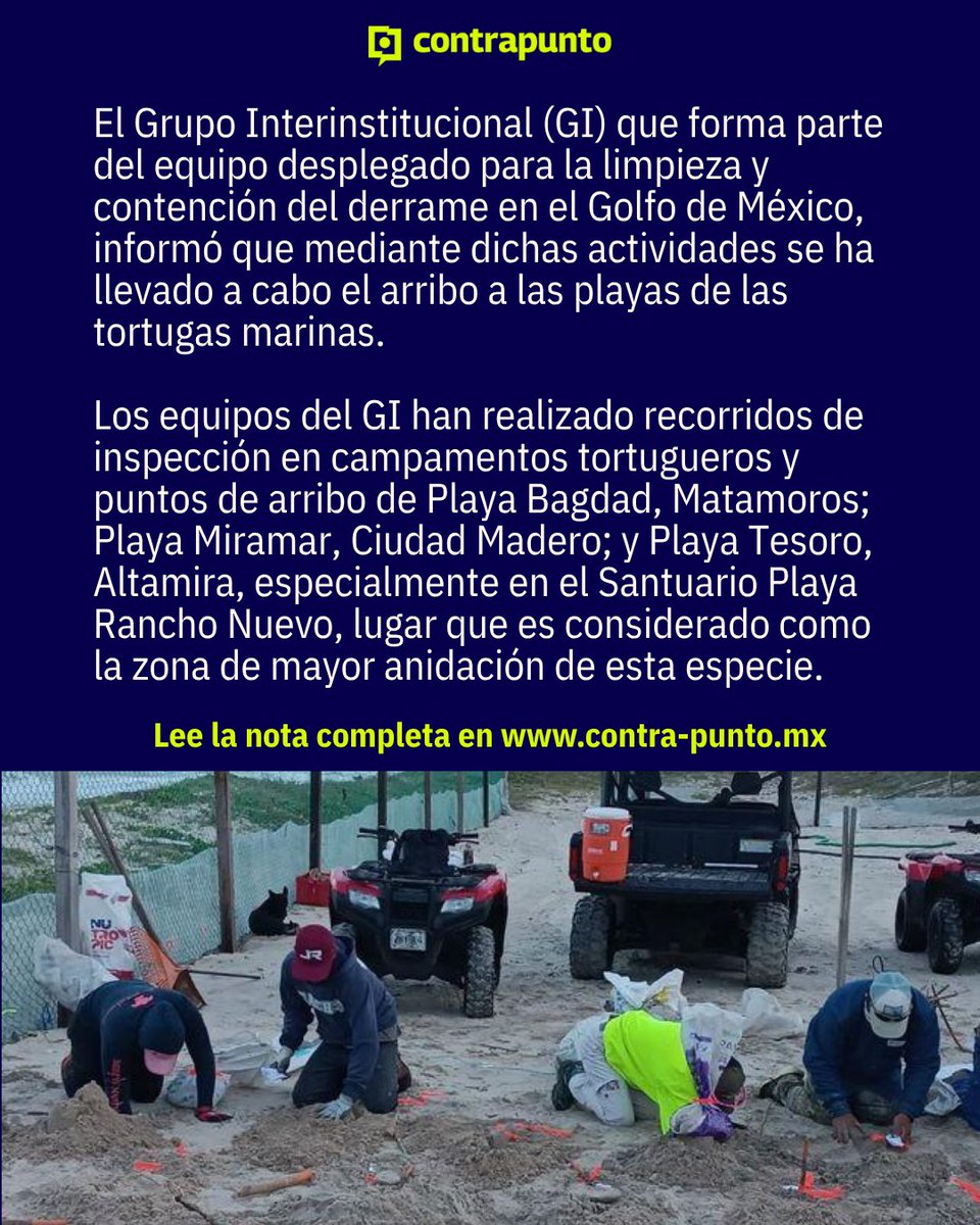 contrapunto.mx tweet media