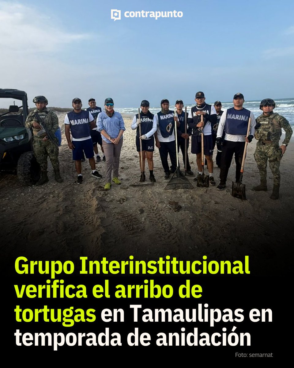 contrapunto.mx tweet media