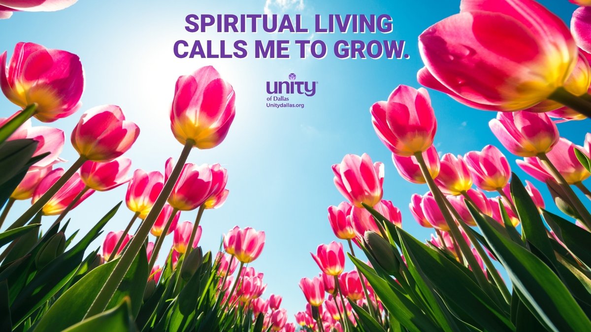 Grow

“SPIRITUAL LIVING CALLS ME TO GROW.”- DailyWord.com

#DailyWord #Unity #UnityDallas #grow