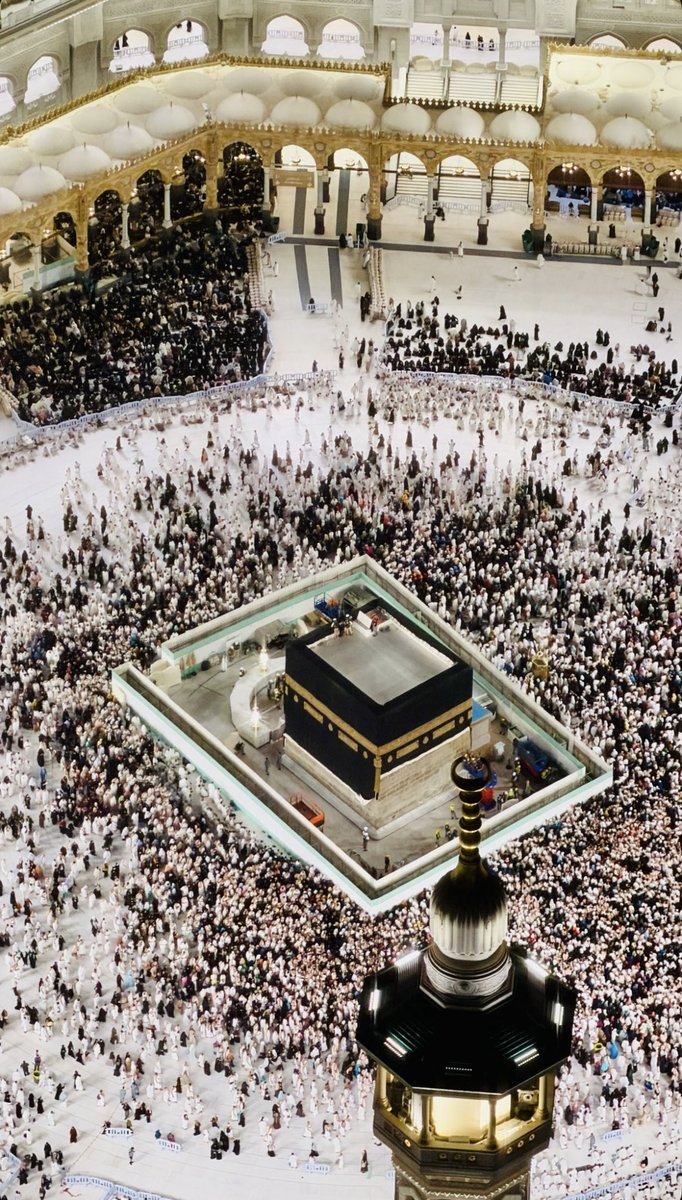 The Holy Mosques tweet media