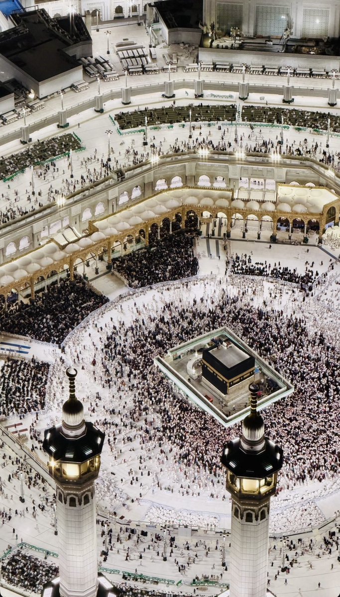 The Holy Mosques tweet media