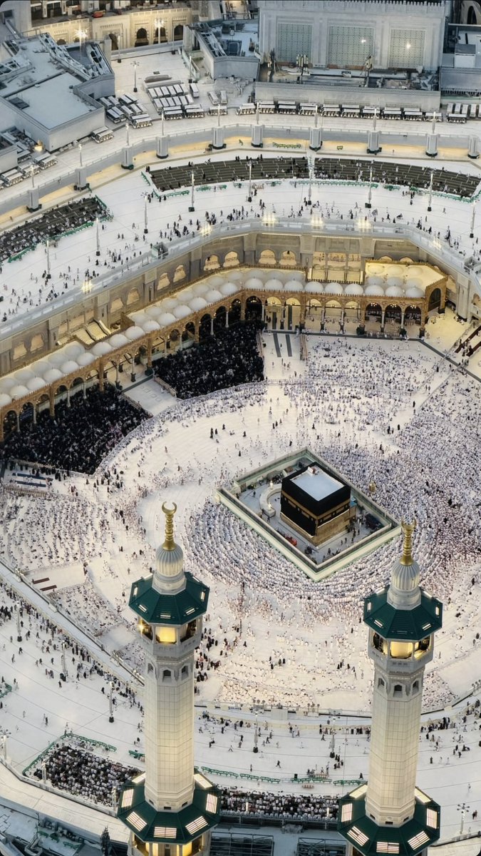 The Holy Mosques tweet media