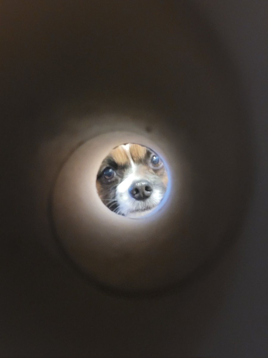 ☮ elin ✿ tweet media