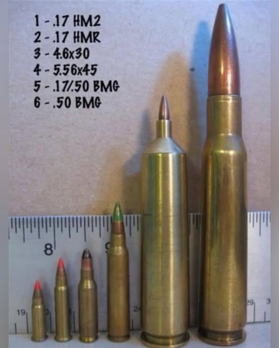 Guns Daily tweet media