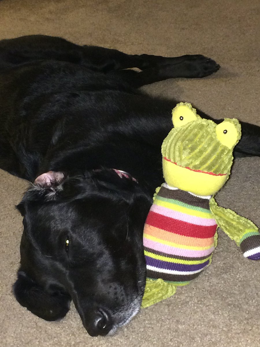 SpencerPI.com tweet media