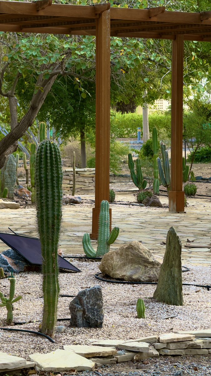 𝐑𝐢𝐲𝐚𝐝𝐡 | 🎞️ tweet media