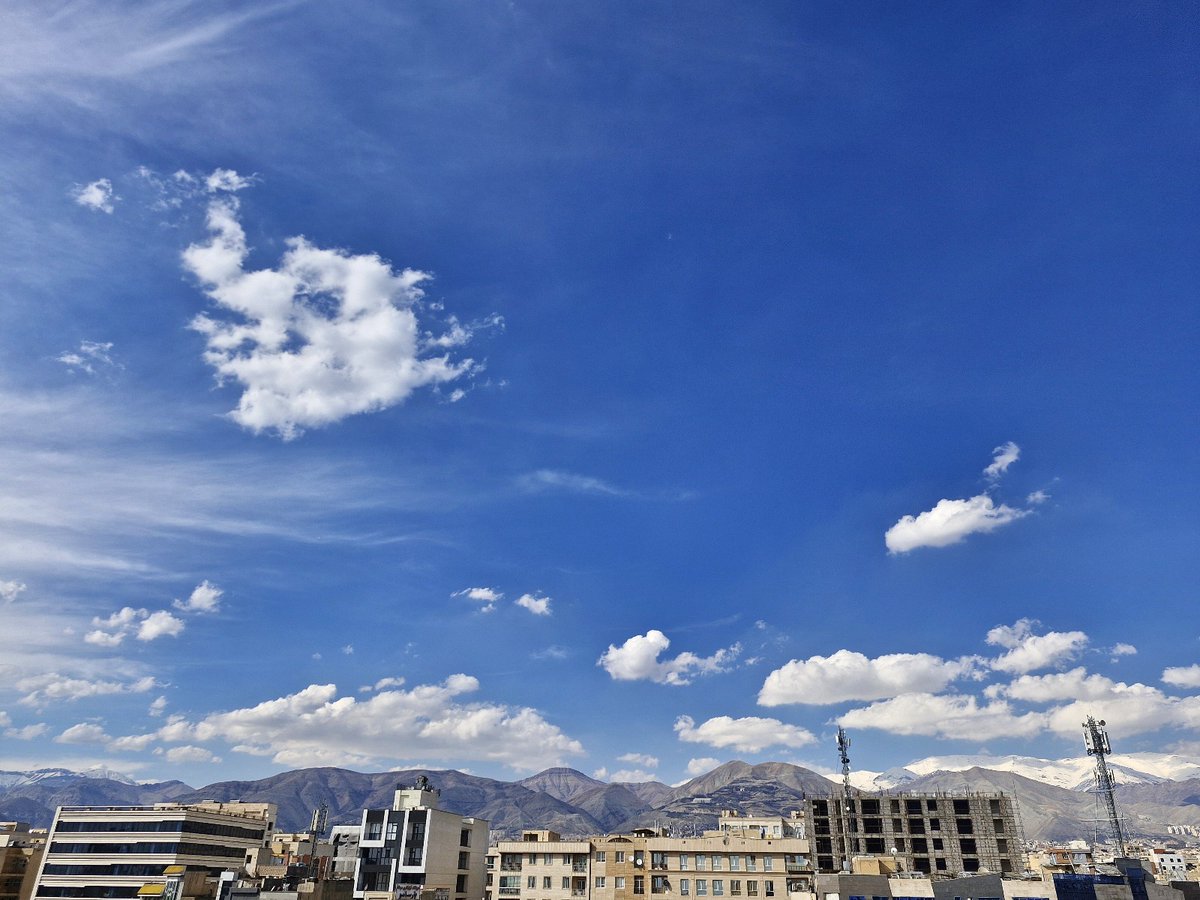 🌳 Hadi tweet media