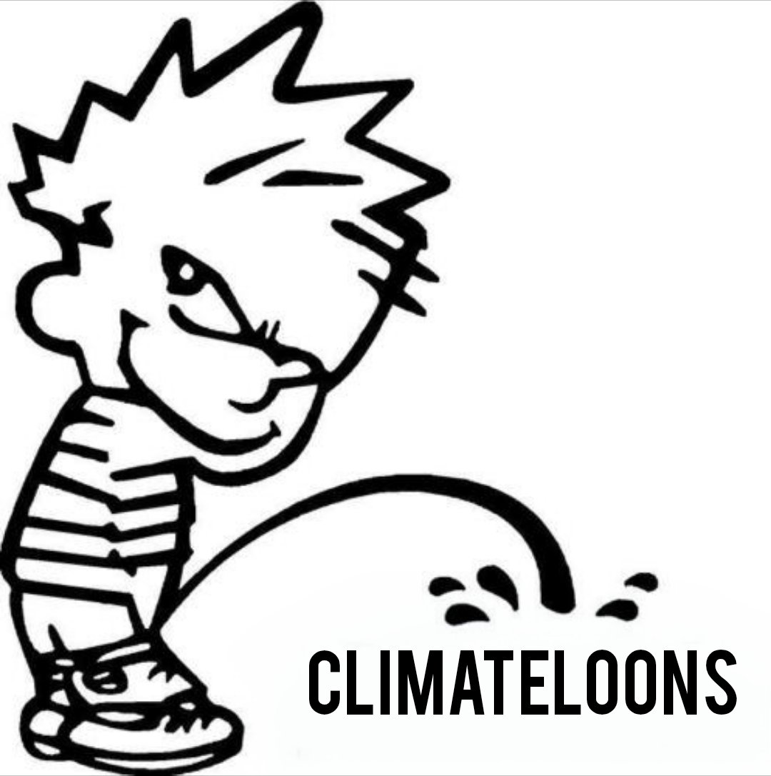 Michael 🇺🇸 a Distinguished Fellow tweet media