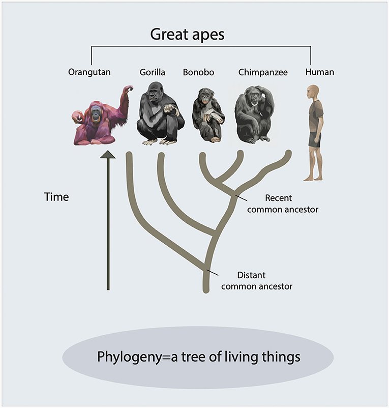 Ja_Kamnara tweet media