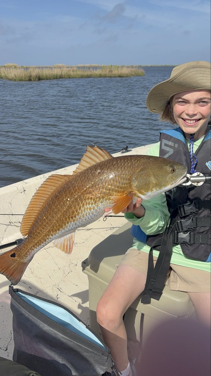 dufrenesguide's tweet photo. Shane Guidry and her son Jennings from New Orleans had a ball this am chasing redfish this am. They got their limits of reds and released 6 oversize reds. #MinnKota 
#Humminbird  
#Raptor
#OPTIMAbatteries
#BomberLures #PennFishing
@MinnKota
@humminbird
#MajekBoats
#OPTIMABattery https://t.co/bj1HBcLnC5