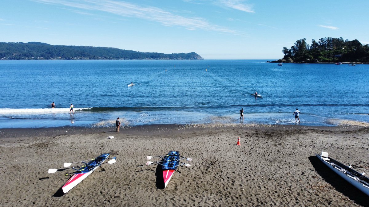 federemo tweet media