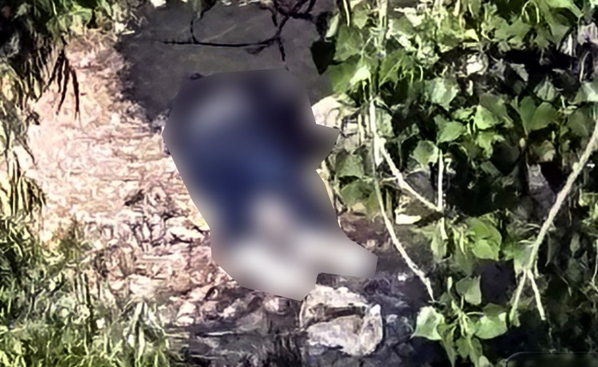 Eco_1_LVM tweet media