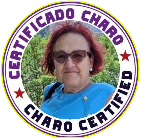 Marco_Polo2021 🇪🇸 🇫🇷 🇺🇸 tweet media