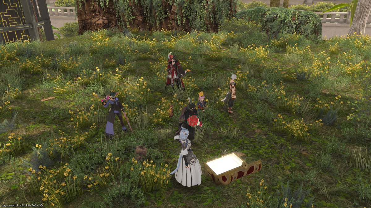 天城ミルカ🧭✳異世界冒険者系VTuber tweet media